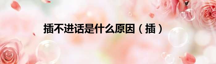 插不进话是什么原因（插）
