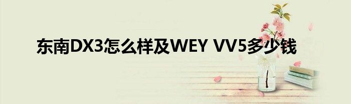 东南DX3怎么样及WEY VV5多少钱
