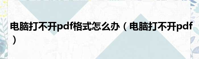 电脑打不开pdf格式怎么办（电脑打不开pdf）