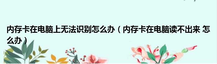 内存卡在电脑上无法识别怎么办（内存卡在电脑读不出来 怎么办）