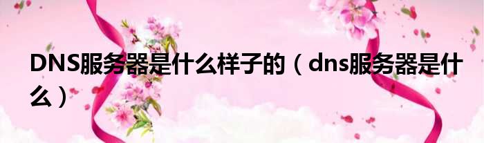 DNS服务器是什么样子的（dns服务器是什么）