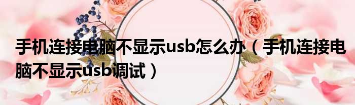 手机连接电脑不显示usb怎么办（手机连接电脑不显示usb调试）