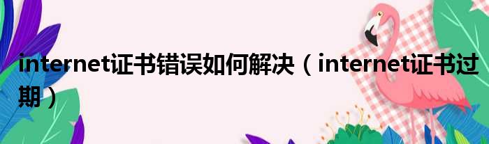 internet证书错误如何解决（internet证书过期）