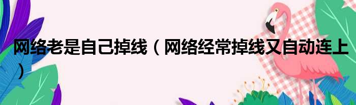 网络老是自己掉线（网络经常掉线又自动连上）