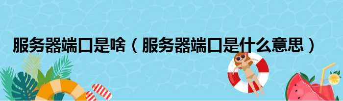 服务器端口是啥（服务器端口是什么意思）