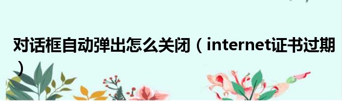 对话框自动弹出怎么关闭（internet证书过期）