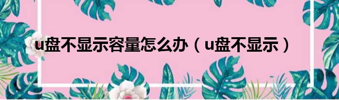 u盘不显示容量怎么办（u盘不显示）