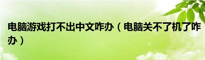 电脑游戏打不出中文咋办（电脑关不了机了咋办）
