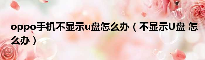 oppo手机不显示u盘怎么办（不显示U盘 怎么办）