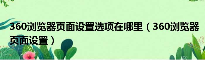 360浏览器页面设置选项在哪里（360浏览器页面设置）