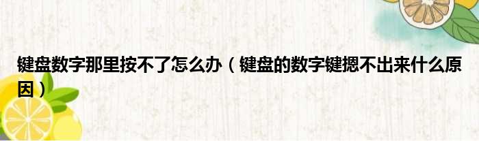键盘数字那里按不了怎么办（键盘的数字键摁不出来什么原因）