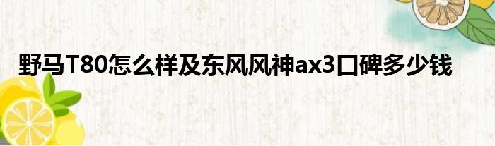野马T80怎么样及东风风神ax3口碑多少钱