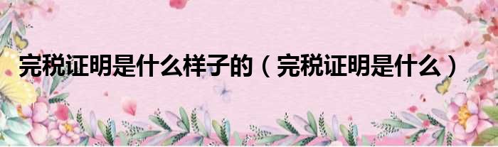 完税证明是什么样子的（完税证明是什么）