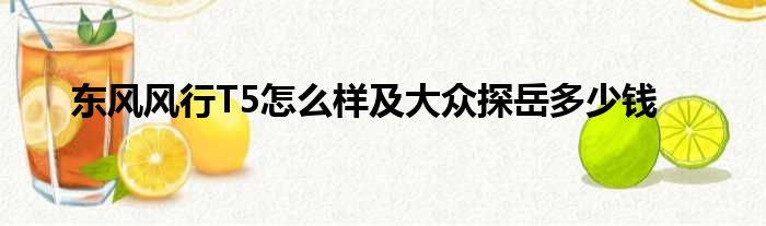 东风风行T5怎么样及大众探岳多少钱
