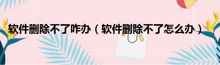 软件删除不了咋办（软件删除不了怎么办）