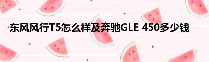 东风风行T5怎么样及奔驰GLE 450多少钱