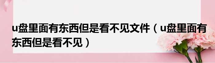u盘里面有东西但是看不见文件（u盘里面有东西但是看不见）