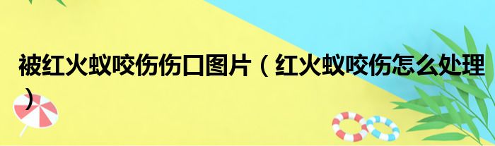 被红火蚁咬伤伤口图片（红火蚁咬伤怎么处理）