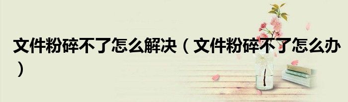文件粉碎不了怎么解决（文件粉碎不了怎么办）