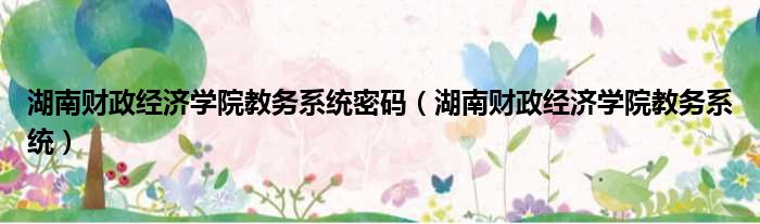 湖南财政经济学院教务系统密码（湖南财政经济学院教务系统）