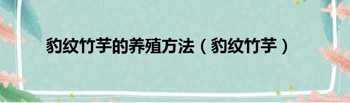 豹纹竹芋的养殖方法（豹纹竹芋）