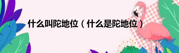 什么叫陀地位（什么是陀地位）