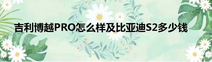 吉利博越PRO怎么样及比亚迪S2多少钱