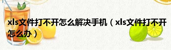 xls文件打不开怎么解决手机（xls文件打不开怎么办）