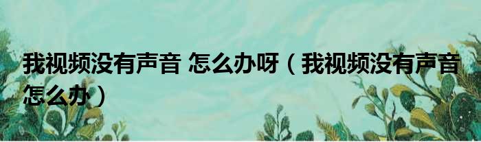 我视频没有声音 怎么办呀（我视频没有声音 怎么办）