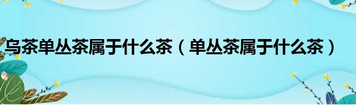 乌茶单丛茶属于什么茶（单丛茶属于什么茶）