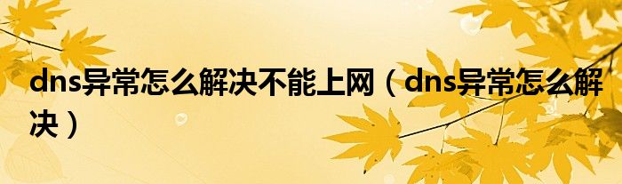dns异常怎么解决不能上网（dns异常怎么解决）
