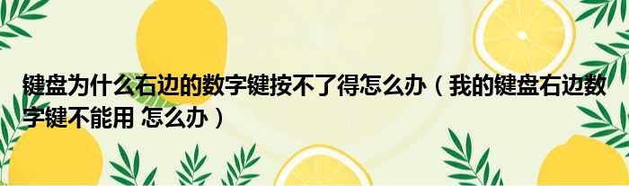 键盘为什么右边的数字键按不了得怎么办（我的键盘右边数字键不能用 怎么办）