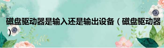 磁盘驱动器是输入还是输出设备（磁盘驱动器）