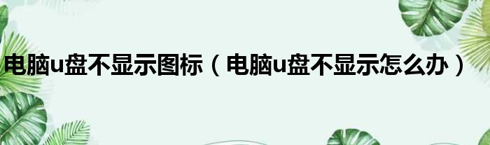 电脑u盘不显示图标（电脑u盘不显示怎么办）