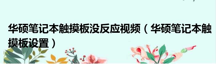 华硕笔记本触摸板没反应视频（华硕笔记本触摸板设置）