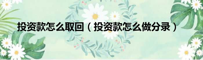 投资款怎么取回（投资款怎么做分录）
