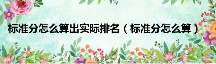 标准分怎么算出实际排名（标准分怎么算）