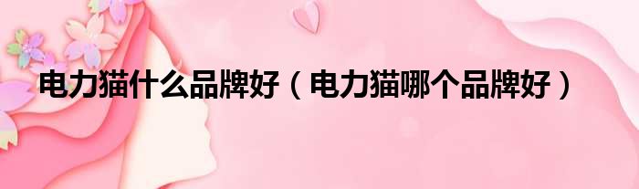 电力猫什么品牌好（电力猫哪个品牌好）