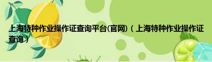 上海特种作业操作证查询平台(官网)（上海特种作业操作证查询）