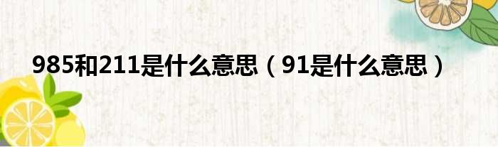 985和211是什么意思（91是什么意思）