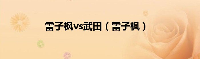 雷子枫vs武田（雷子枫）