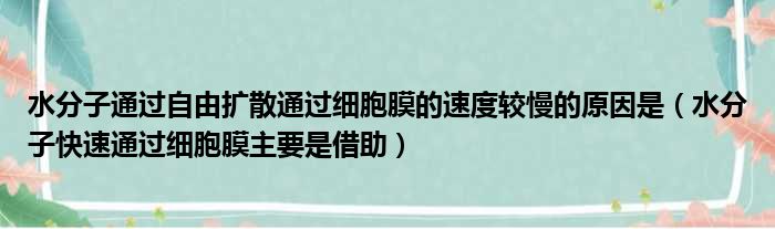 水分子通过自由扩散通过细胞膜的速度较慢的原因是（水分子快速通过细胞膜主要是借助）
