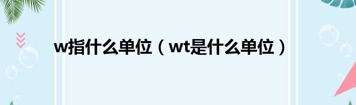 w指什么单位（wt是什么单位）