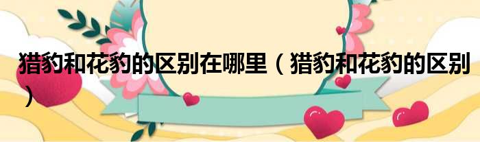 猎豹和花豹的区别在哪里（猎豹和花豹的区别）