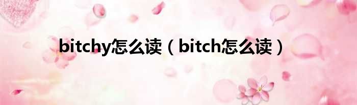 bitchy怎么读（bitch怎么读）