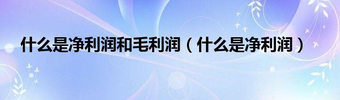 什么是净利润和毛利润（什么是净利润）