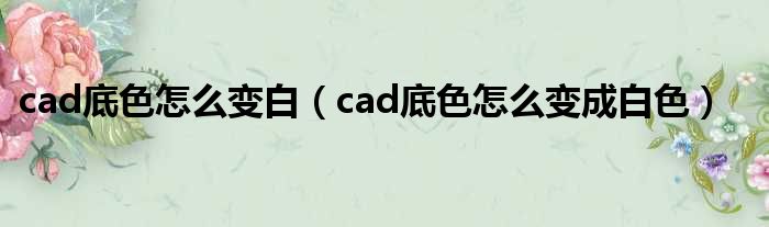 cad底色怎么变白（cad底色怎么变成白色）