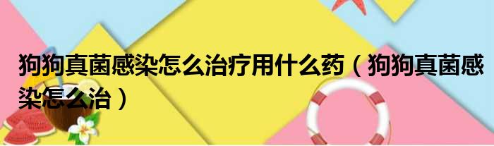 狗狗真菌感染怎么治疗用什么药（狗狗真菌感染怎么治）