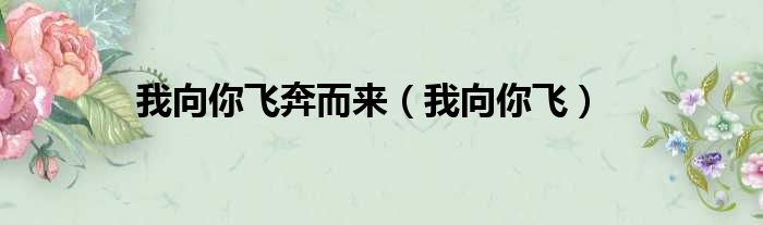 我向你飞奔而来（我向你飞）