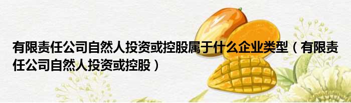 有限责任公司自然人投资或控股属于什么企业类型（有限责任公司自然人投资或控股）